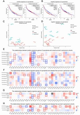 The signature genes of cuproptosis associates with tumor immune microenvironment and predicts prognosis in kidney renal clear cell carcinoma